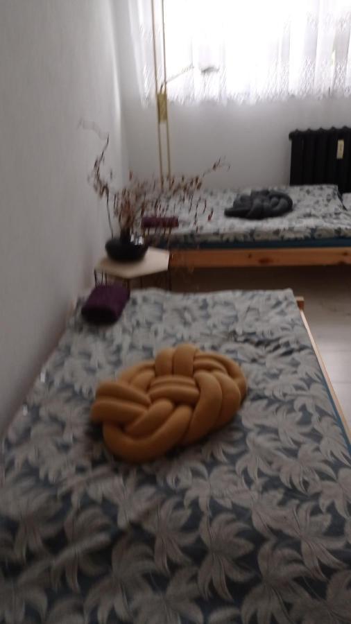 Babcares Apa Apartment Mirsk Bagian luar foto